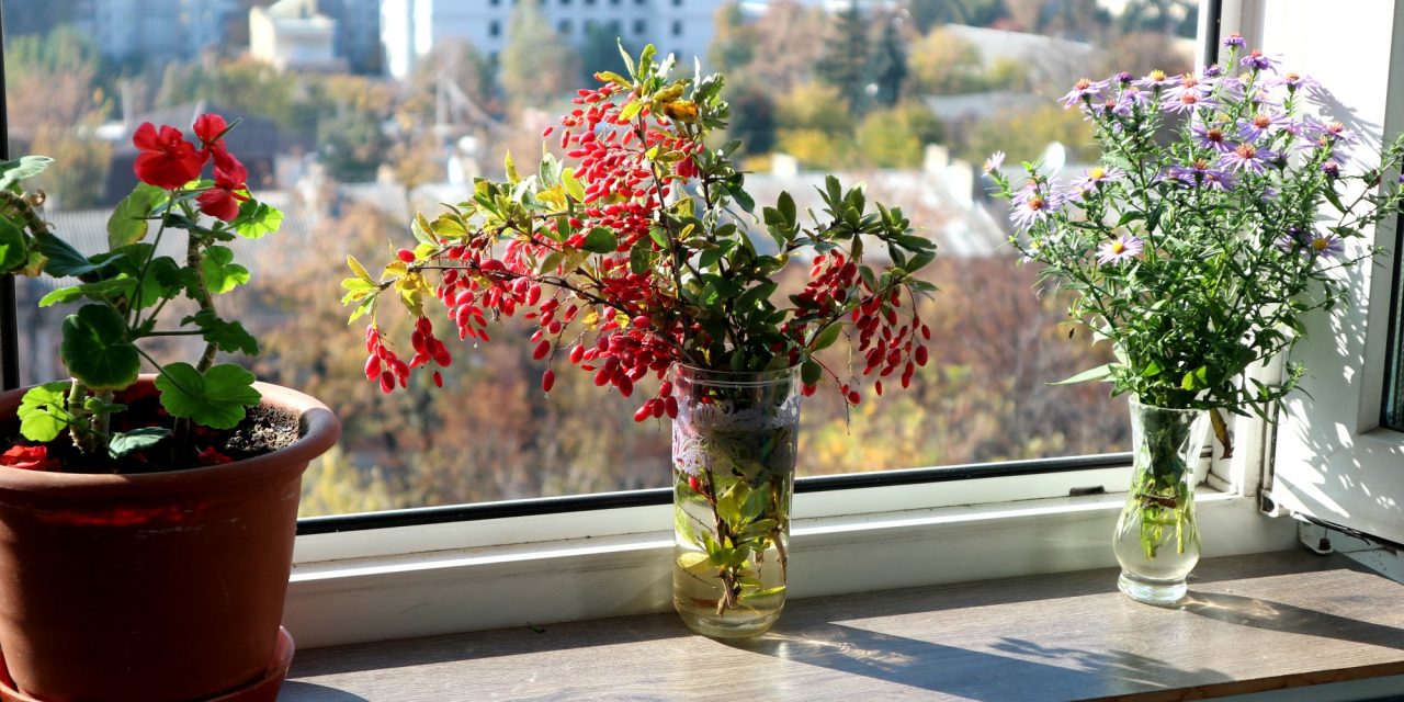 <span class="entry-title-primary">Anna, édes Anna…</span> <span class="entry-subtitle">Varga Katalin verse</span>