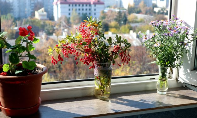 <span class="entry-title-primary">Anna, édes Anna…</span> <span class="entry-subtitle">Varga Katalin verse</span>