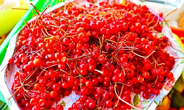 <span class="entry-title-primary">LXIII. szonett</span> <span class="entry-subtitle">William Shakespeare költeménye</span>