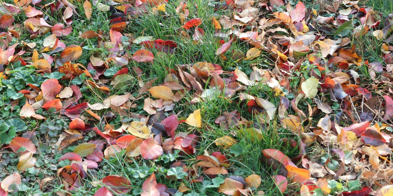 <span class="entry-title-primary">LXIV. szonett</span> <span class="entry-subtitle">William Shakespeare költeménye</span>