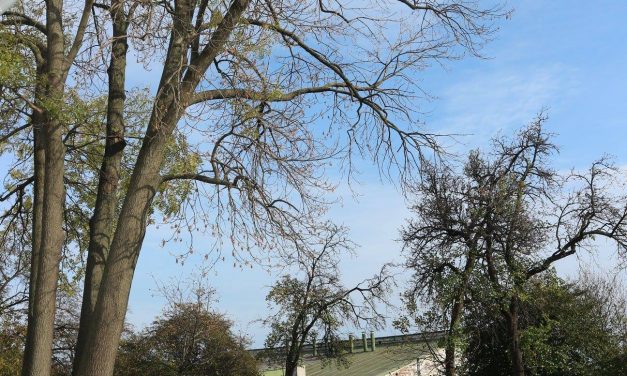 <span class="entry-title-primary">LXV. szonett</span> <span class="entry-subtitle">William Shakespeare költeménye</span>