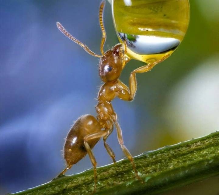 <span class="entry-title-primary">LXVII. szonett</span> <span class="entry-subtitle">William Shakespeare költeménye</span>