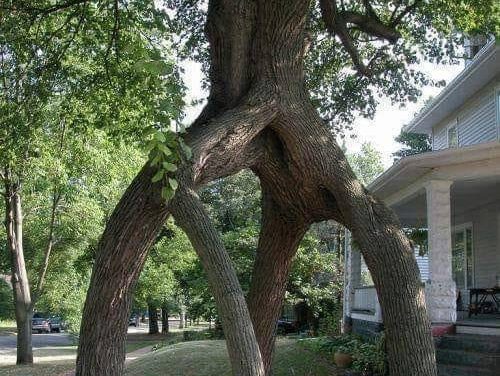 <span class="entry-title-primary">nyom</span> <span class="entry-subtitle">Jozefina Dautbegović Krajinović prózaverse</span>