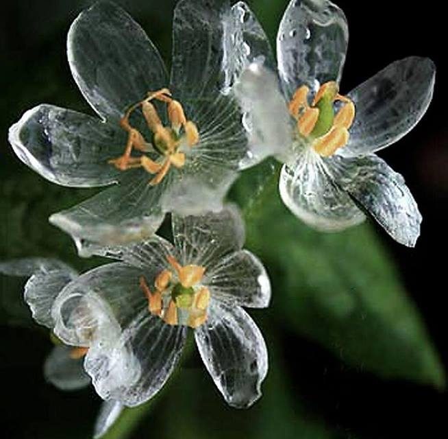 <span class="entry-title-primary">a mi háztetőnk</span> <span class="entry-subtitle">Szabó Palócz Attila verse</span>