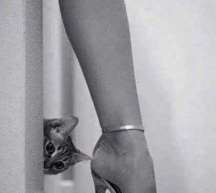 <span class="entry-title-primary">LXXI. szonett</span> <span class="entry-subtitle">William Shakespeare költeménye</span>