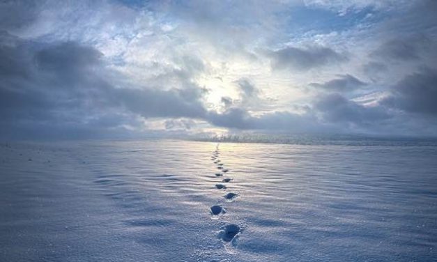 <span class="entry-title-primary">LXXVII. szonett</span> <span class="entry-subtitle">William Shakespeare költeménye</span>