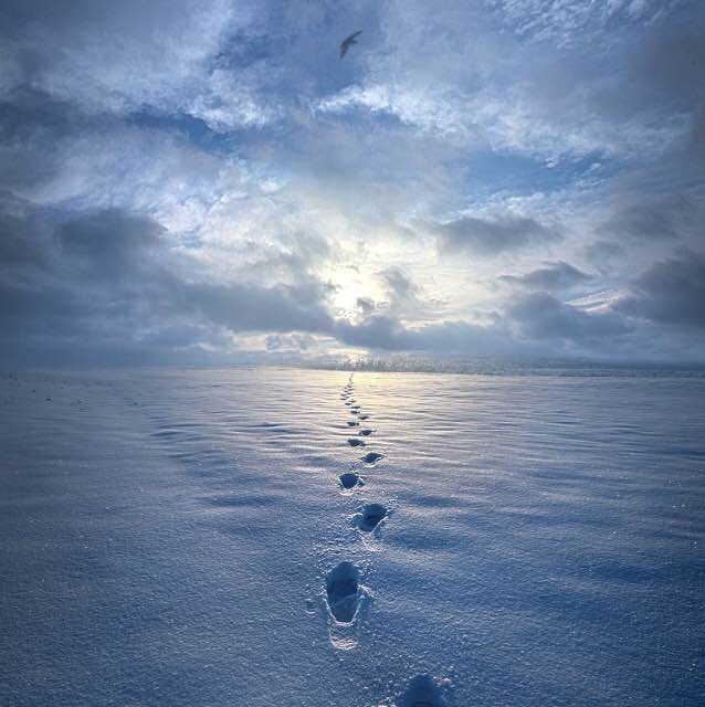 <span class="entry-title-primary">LXXVII. szonett</span> <span class="entry-subtitle">William Shakespeare költeménye</span>