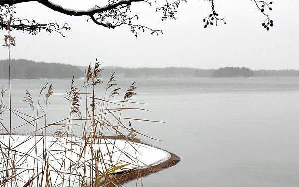 <span class="entry-title-primary">LXXVIII. szonett</span> <span class="entry-subtitle">William Shakespeare költeménye</span>