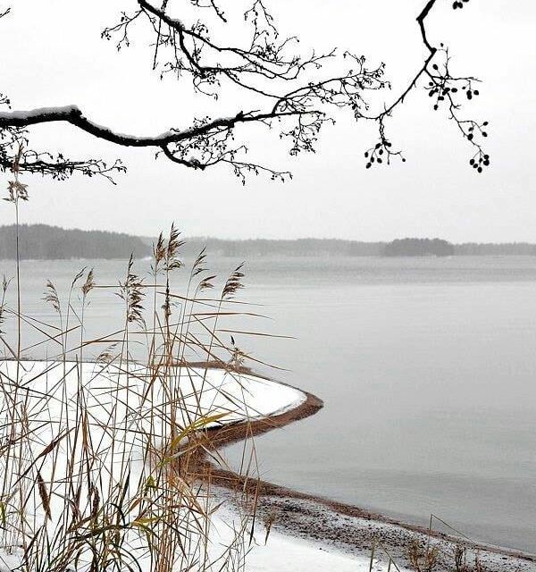 <span class="entry-title-primary">LXXVIII. szonett</span> <span class="entry-subtitle">William Shakespeare költeménye</span>