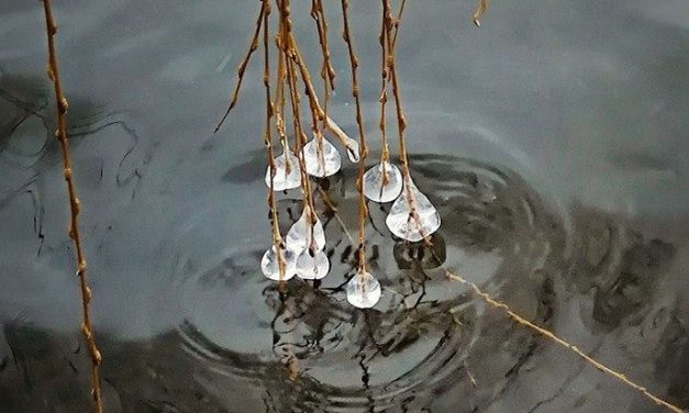 <span class="entry-title-primary">Orsi rajzai IV.</span> <span class="entry-subtitle">Szabó Palócz Attila vizuális költeménye</span>