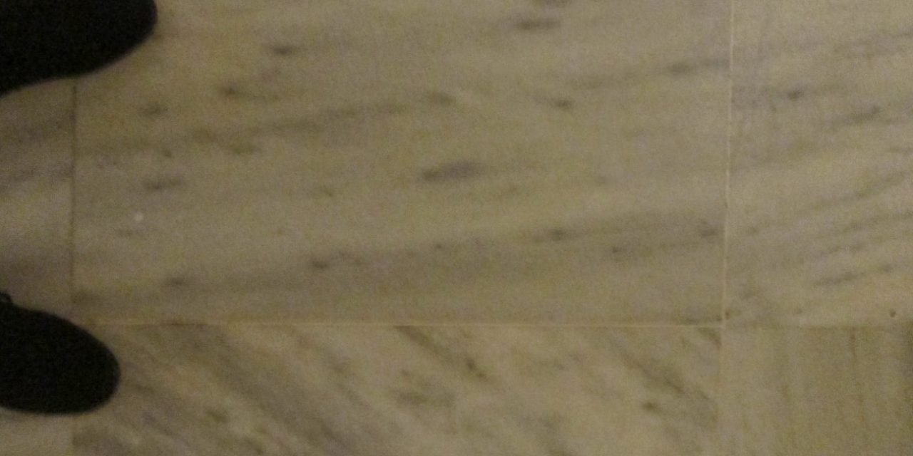 <span class="entry-title-primary">a hintaló</span> <span class="entry-subtitle">Szabó Palócz Attila verse</span>