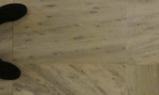 <span class="entry-title-primary">a hintaló</span> <span class="entry-subtitle">Szabó Palócz Attila verse</span>