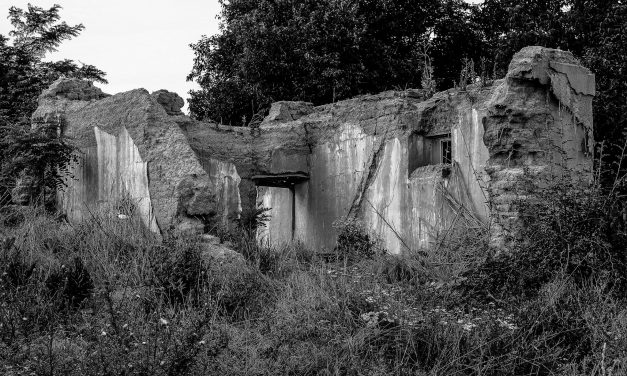 Európa szélén: A periféria démonai – Vajdaságban és azon túl