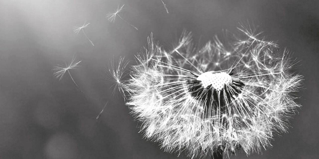 <span class="entry-title-primary">Futó betegségünk</span> <span class="entry-subtitle">B. Foky István verse</span>