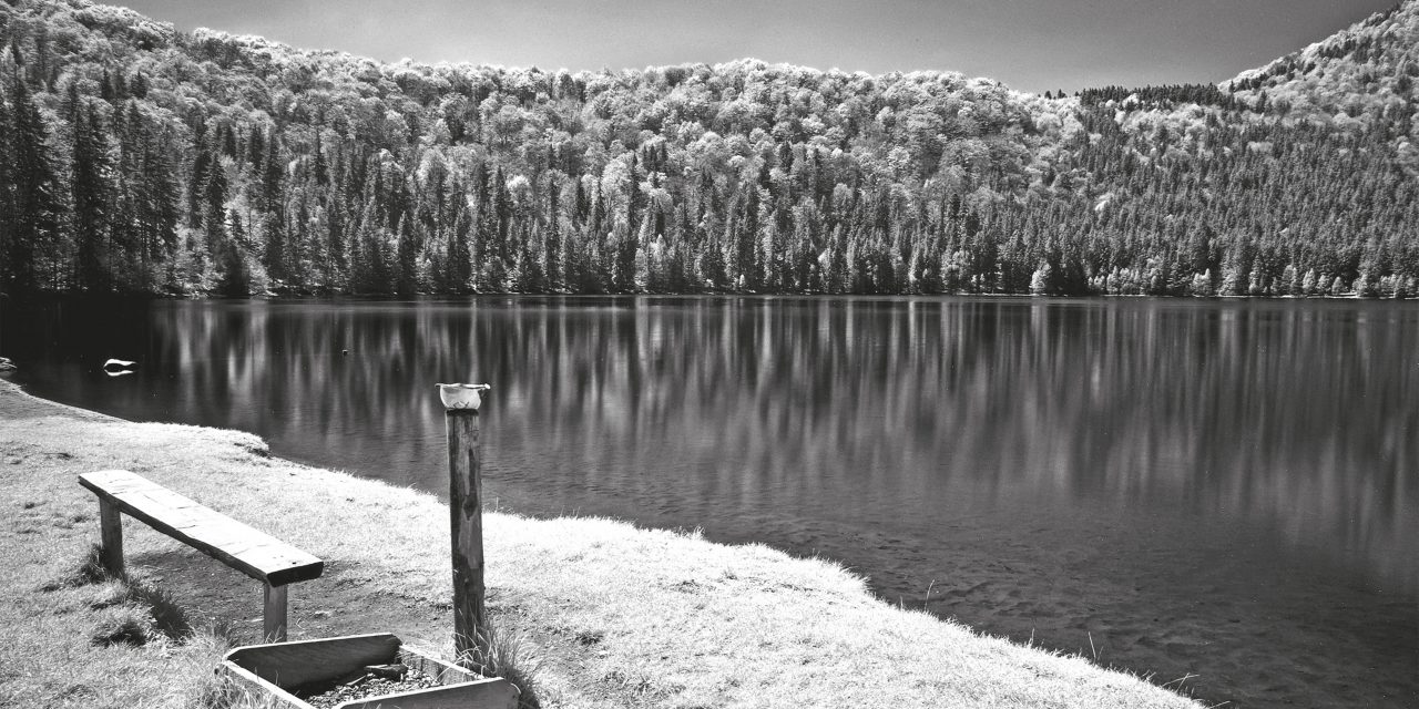 <span class="entry-title-primary">az utolsó szerelem</span> <span class="entry-subtitle">Kontra Ferenc verse</span>