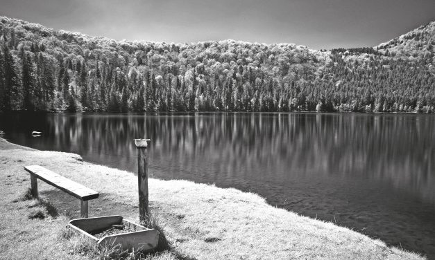 <span class="entry-title-primary">az utolsó szerelem</span> <span class="entry-subtitle">Kontra Ferenc verse</span>