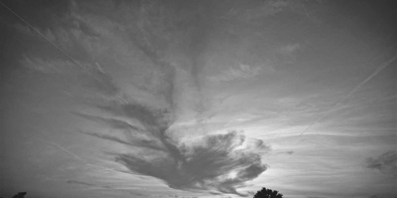 <span class="entry-title-primary">Fa</span> <span class="entry-subtitle">Ladik Katalin verse</span>