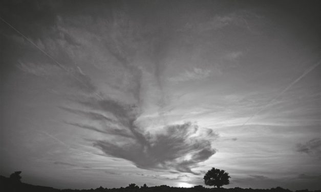 <span class="entry-title-primary">Fa</span> <span class="entry-subtitle">Ladik Katalin verse</span>