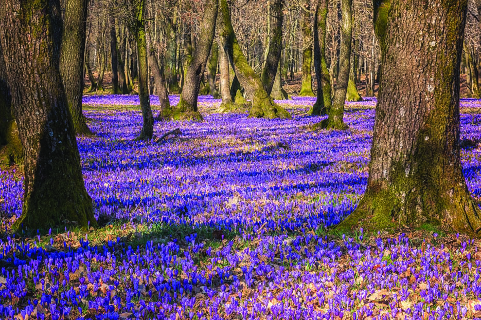 <span class="entry-title-primary">Beregszászban</span> <span class="entry-subtitle">Nagy Zoltán Mihály prózaverse</span>