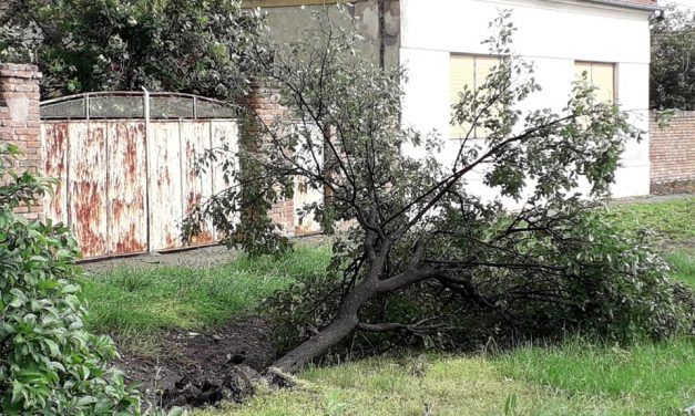 Mindent tönkretett a vihar a bánáti Basahídon (Fotók)