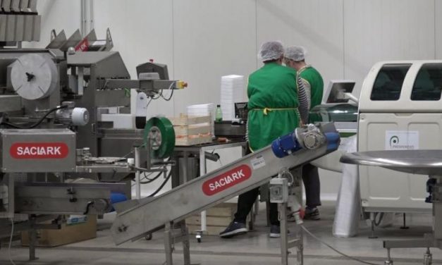 Átadták a Császárkert Kft. üzemét Nagybecskereken