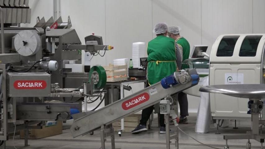 Átadták a Császárkert Kft. üzemét Nagybecskereken