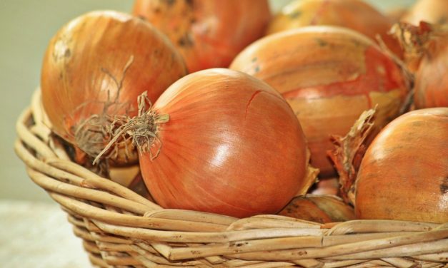 Szerbia: Hogyan lett drágább a vöröshagyma a banánnál?