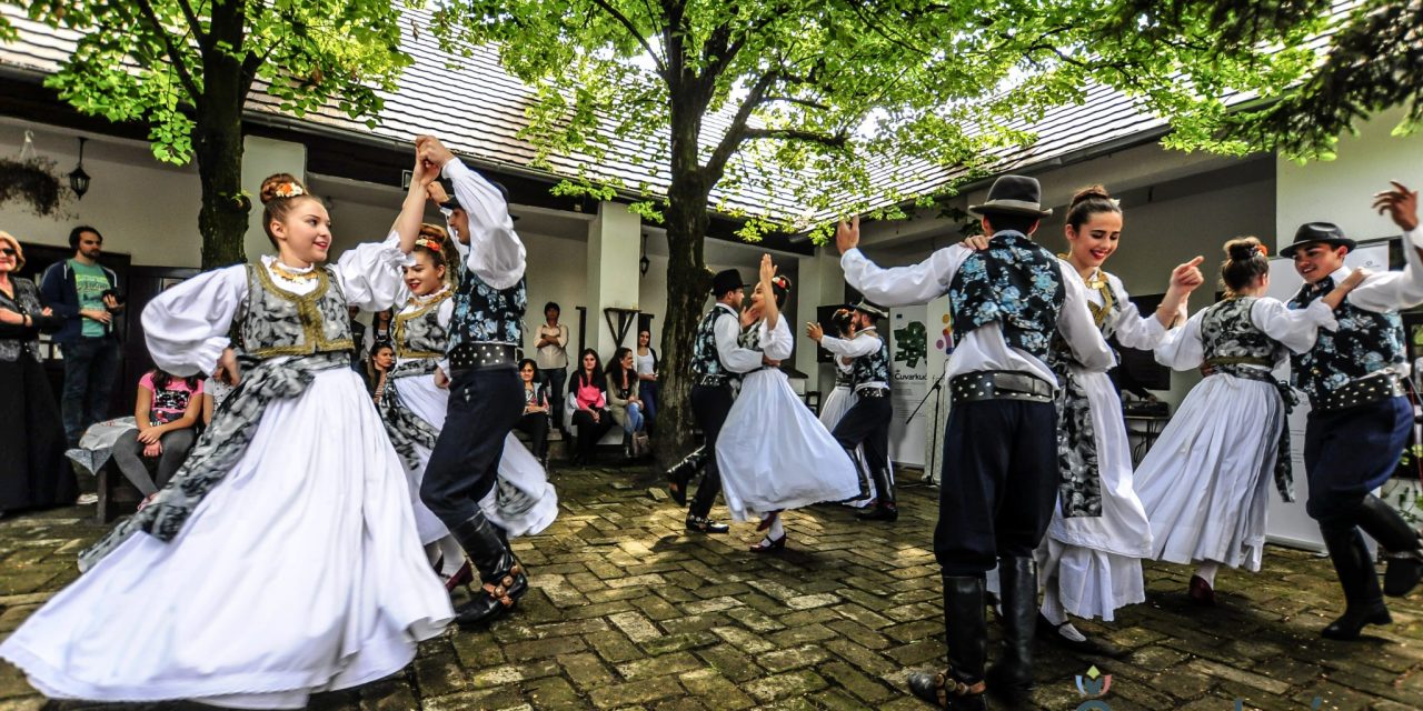 <span class="entry-title-primary">Vajdaság a mi otthonunk (Fotók)</span> <span class="entry-subtitle">Szerbcsernyén járt a Kövirózsa rendezvénysorozata</span>