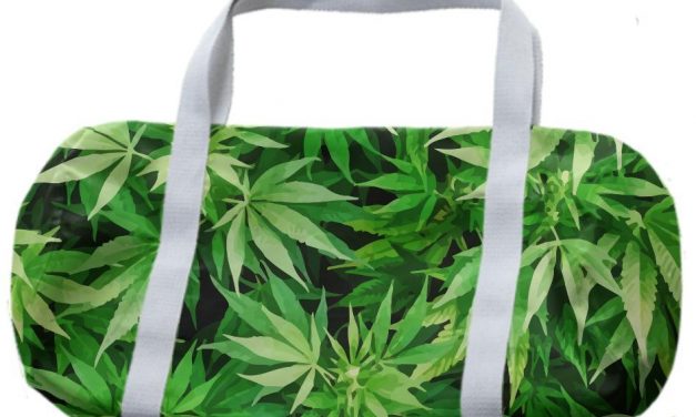 Újvidék: Fél kiló marihuánát találtak egy fiatalembernél, aki megpróbált ellenállni a rendőri intézkedésnek