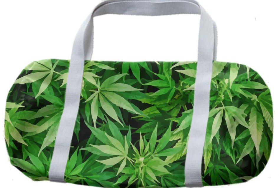 Újvidék: Fél kiló marihuánát találtak egy fiatalembernél, aki megpróbált ellenállni a rendőri intézkedésnek