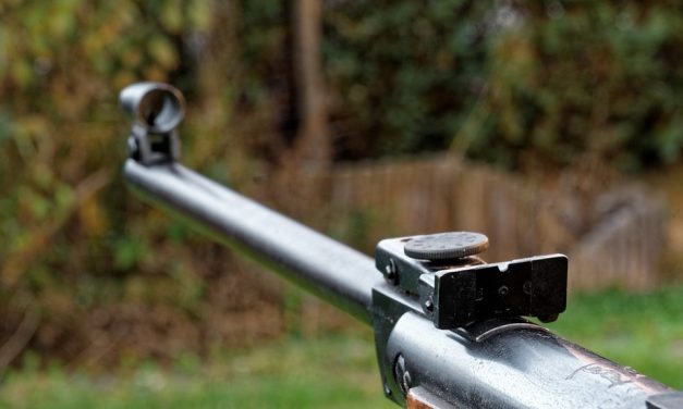 Tragédia Moholon: Gyilkosság és öngyilkosság egy családi házban