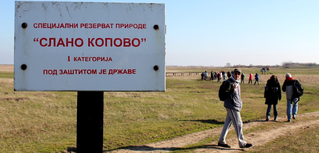 Hamarosan a turisták számára is hozzáférhető lesz a Sóskopó rezervátum