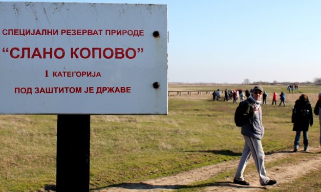 Hamarosan a turisták számára is hozzáférhető lesz a Sóskopó rezervátum