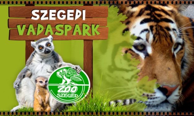 Harmincéves a Szegedi Vadaspark