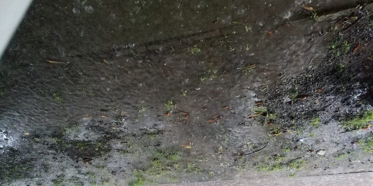 Zenta: Jelentős csapadékmennyiség húsz perc alatt