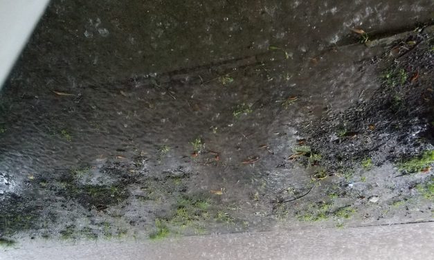 Zenta: Jelentős csapadékmennyiség húsz perc alatt