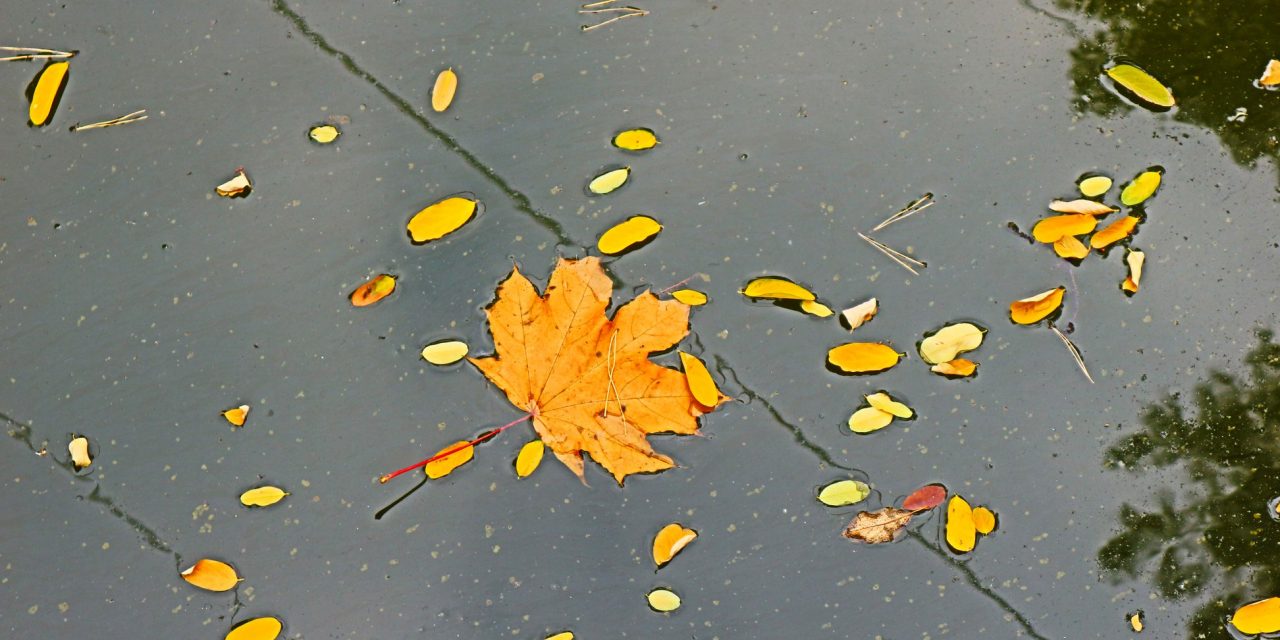 <span class="entry-title-primary">találós kérdések</span> <span class="entry-subtitle">Szabó Palócz Attila verse</span>