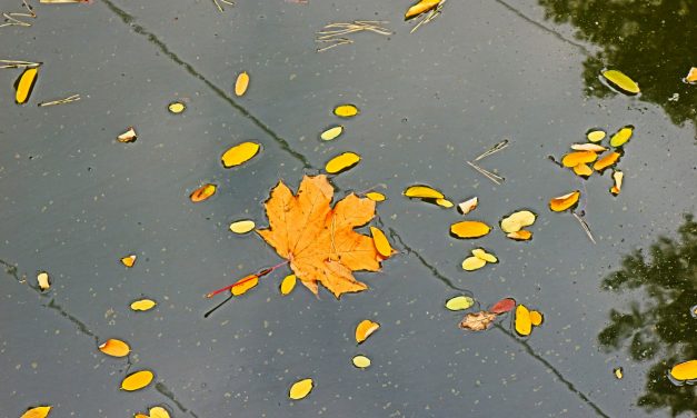 <span class="entry-title-primary">találós kérdések</span> <span class="entry-subtitle">Szabó Palócz Attila verse</span>