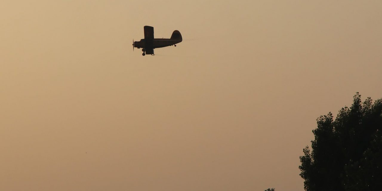 <span class="entry-title-primary">Zenta: Sirassuk meg a szúnyogokat</span> <span class="entry-subtitle">Eszméletlenül rossz kifogással magyarázzák, hogy miért voltak képtelenek eddig megszervezni a hatékony szúnyogirtást</span>