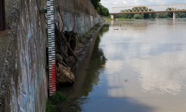 Zenta: A víz ellepte a rakpartot (FOTÓK)