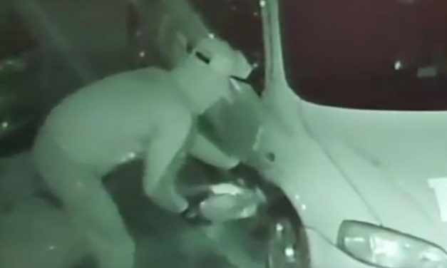 Nagybecskerek: Benzint locsolt a taxikra, majd fáklyával felgyújtotta őket (VIDEÓ)