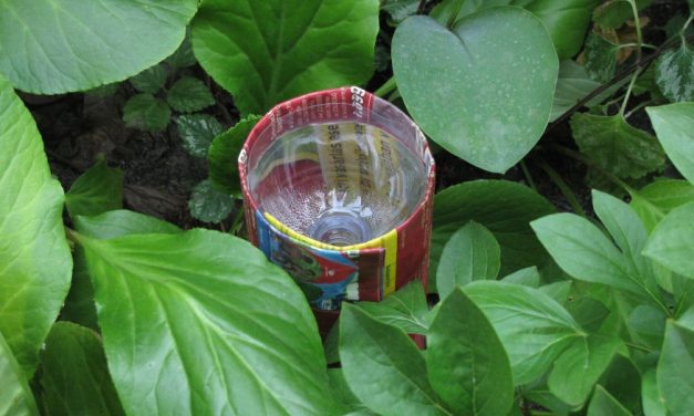 Szúnyogcsapda PET palackból