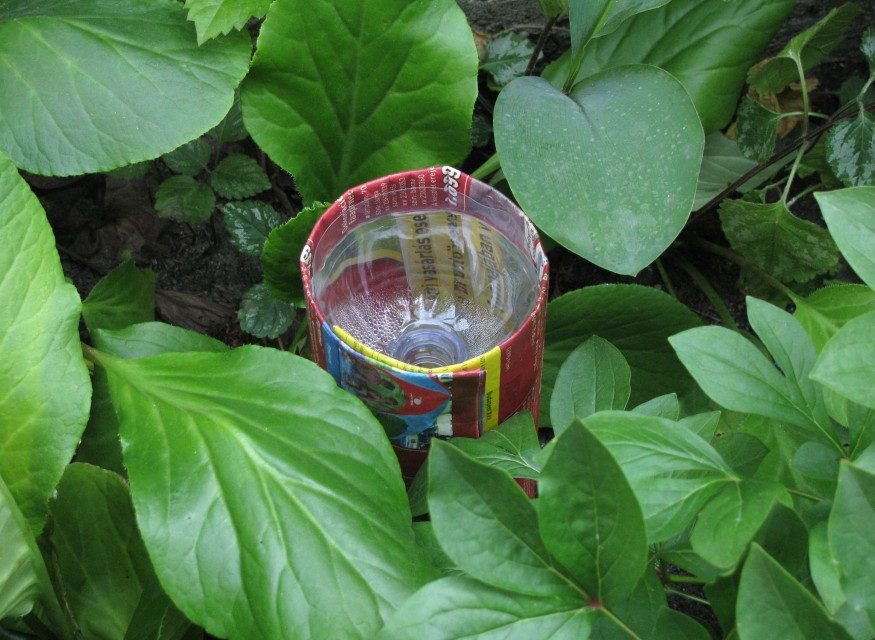 Szúnyogcsapda PET palackból