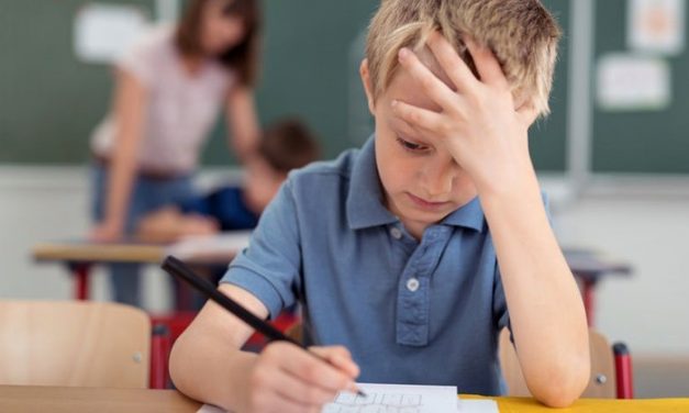 Közérdekű munkára ítélné a rossz magaviseletű diákokat az ombudsman