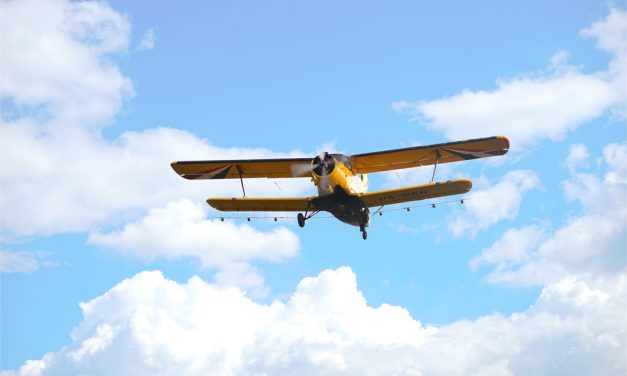 Szúnyogirtás: Topolyán majd ha az időjárás megengedi…