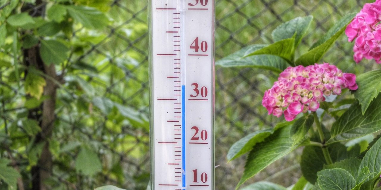 Hajnalban beköszöntött a csillagászati nyár