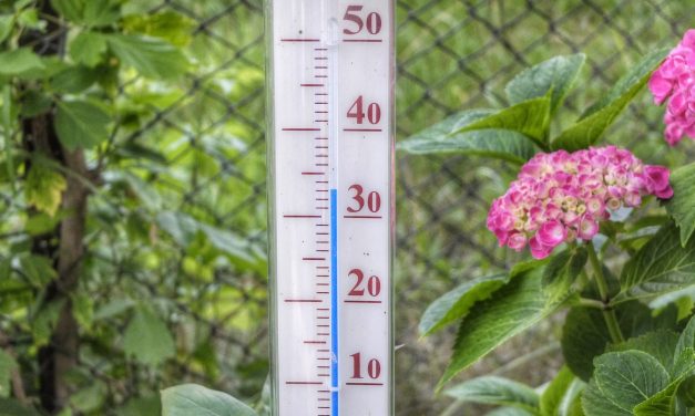 Hajnalban beköszöntött a csillagászati nyár