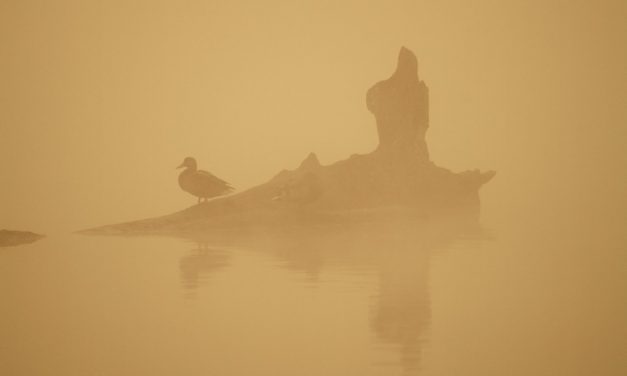 Magyar, lengyel, és cseh vétóval bukott el az uniós klímacél