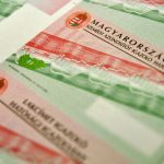 VMDK: Nem elfogadható, ha politikai szereplők a kettős állampolgárság megvonásával kampányolnak