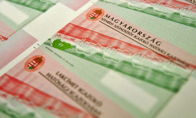 VMDK: Nem elfogadható, ha politikai szereplők a kettős állampolgárság megvonásával kampányolnak